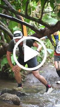 BIB:  <button type="button" onclick="openModal(27541599)" class="btn btn-primary btn-sm float-right" data-toggle="modal" data-target=".modal-high-quality">
                <i class="fa fa-download"></i> Download
                </button>